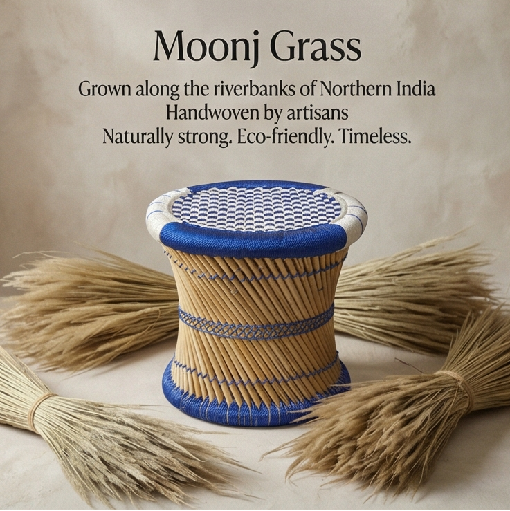 Blue and White Nylon Stool